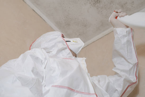 Best Toxic Mold Removal  in Oak Grove Heights, AR