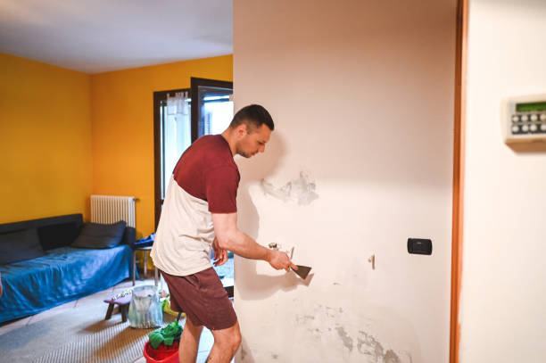Mold Removal Process in Oak Grove Heights, AR